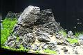 3-D_20140126 -183356 _IMG_9869
